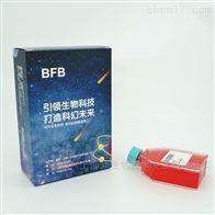 小鼠T细胞杂交瘤细胞B3Z